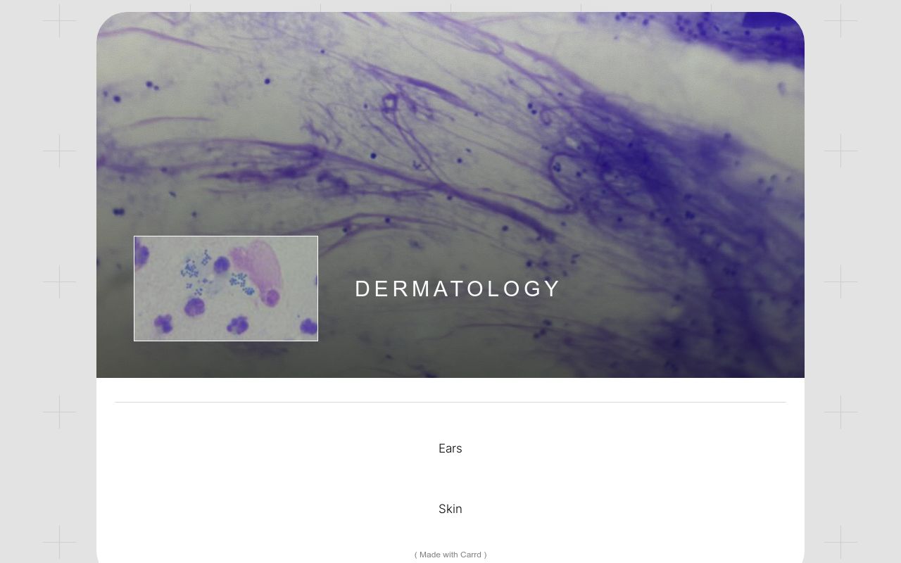 Carrd profile picture for @dermatology